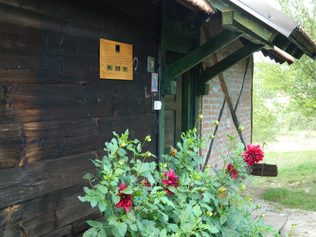 Chalet Belino Sokace Užice Exterior foto