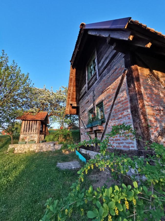 Chalet Belino Sokace Užice Exterior foto